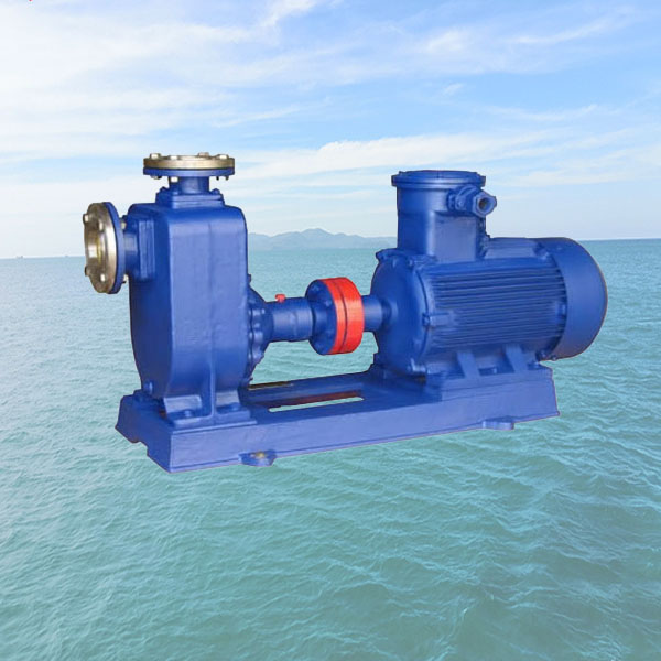 CWZ Marine Horizontal Self-priming Centrifugal Pump